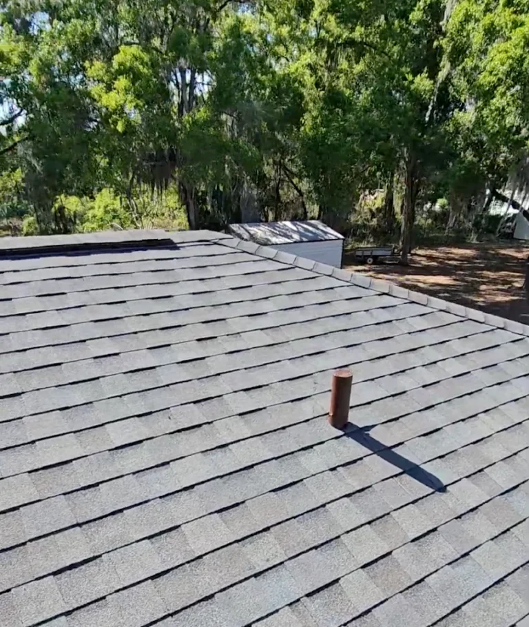 shingle roof repair seminole county